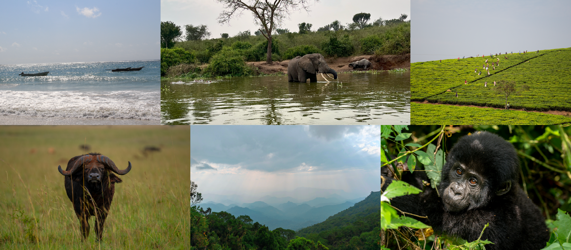 rwanda new