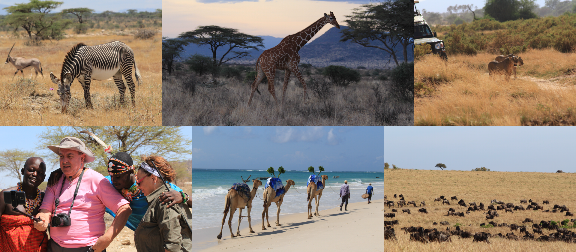 tanzania newb